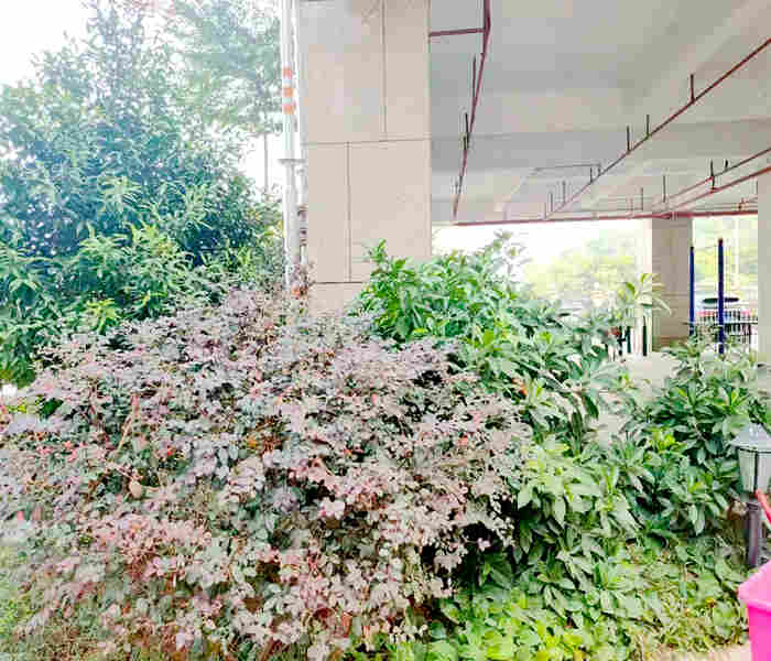 龍華最新小產權房：石巖國際3棟花園小區(qū)房